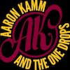 Aaron Kamm and the One Drops Концерты