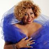 Alcione Концерты