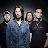 Alter Bridge Концерты