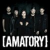 Amatory Концерты