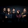 aversed Концерты