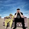 Bandaid Brigade Концерты