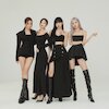 Blackpink Концерты
