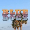 Blue Dogs Концерты