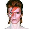 David Bowie Концерты