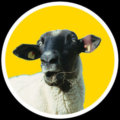 PAGE_INDEX_IMAGE_CAPTION