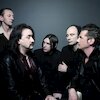 Einstürzende Neubauten Концерты