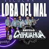 Estilo Chihuahua Концерты