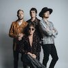 Flying Buffaloes Концерты