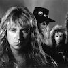 Great White Концерты