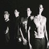 Grey Daze Концерты