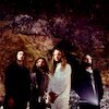 Haunt the Woods Концерты