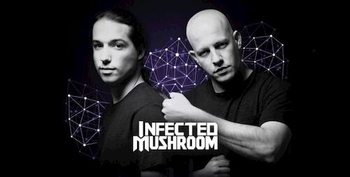 Infected Mushroom