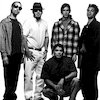 Infectious Grooves Концерты