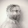 Jero Romero Концерты