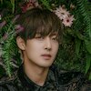 Kim Hyun Joong Концерты