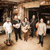 Laney Lou and the Bird Dogs Концерты