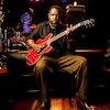 Lurrie Bell Концерты