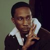 Mir Fontane Концерты