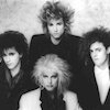 Missing Persons Концерты