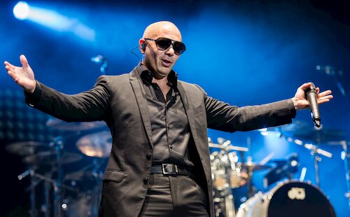 Pitbull