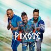 Pixote Концерты