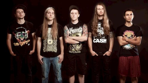 Rings of Saturn