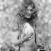 Robert Plant & Alison Krauss Концерты