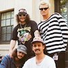 Rum Jungle Концерты