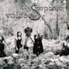 Septem Voices Концерты