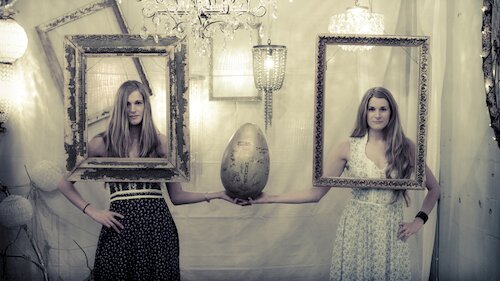 Shook Twins