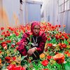 Shy Glizzy Концерты
