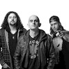 Small Town Titans Концерты
