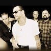 Social Distortion Концерты