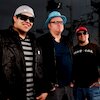 Sublime with Rome Концерты