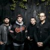 The Amity Affliction Концерты