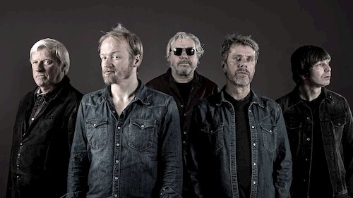 The Analogues