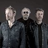 The Analogues Концерты