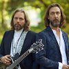 Black Crowes Концерты
