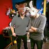 The Bunny the Bear Концерты