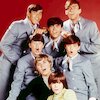 The Cowsills Концерты