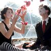 The Dresden Dolls Концерты