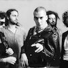 The Gulps Концерты