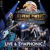 The Illegal Eagles Концерты