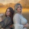 The Local Honeys Концерты