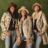 The Pointer Sisters Концерты