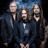 The Winery Dogs Концерты