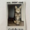 The Yacht Club Концерты