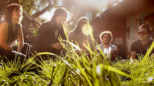 Vetiver